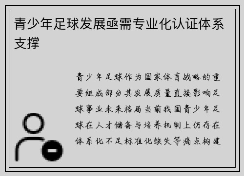 青少年足球发展亟需专业化认证体系支撑